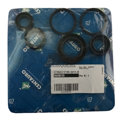 Jogo retentores motor PIAGGIO 50 BUXY / CITYSTAR / DJANGO / ELYSEO / ELYSTAR / JET FORCE / KISBEE / LUDIX / SPEEDAKE / SPEEDFIGHT / SQUAB / TREKKER / TWEET / VIVACITY / ZENITH / scooter - CENTAURO